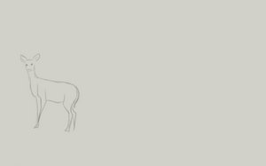deer running away | pose study - animation