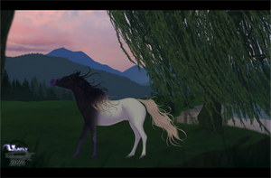* When The Sun Sets Down *