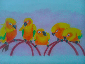 Conure Parrots Oil Pastel Drawing