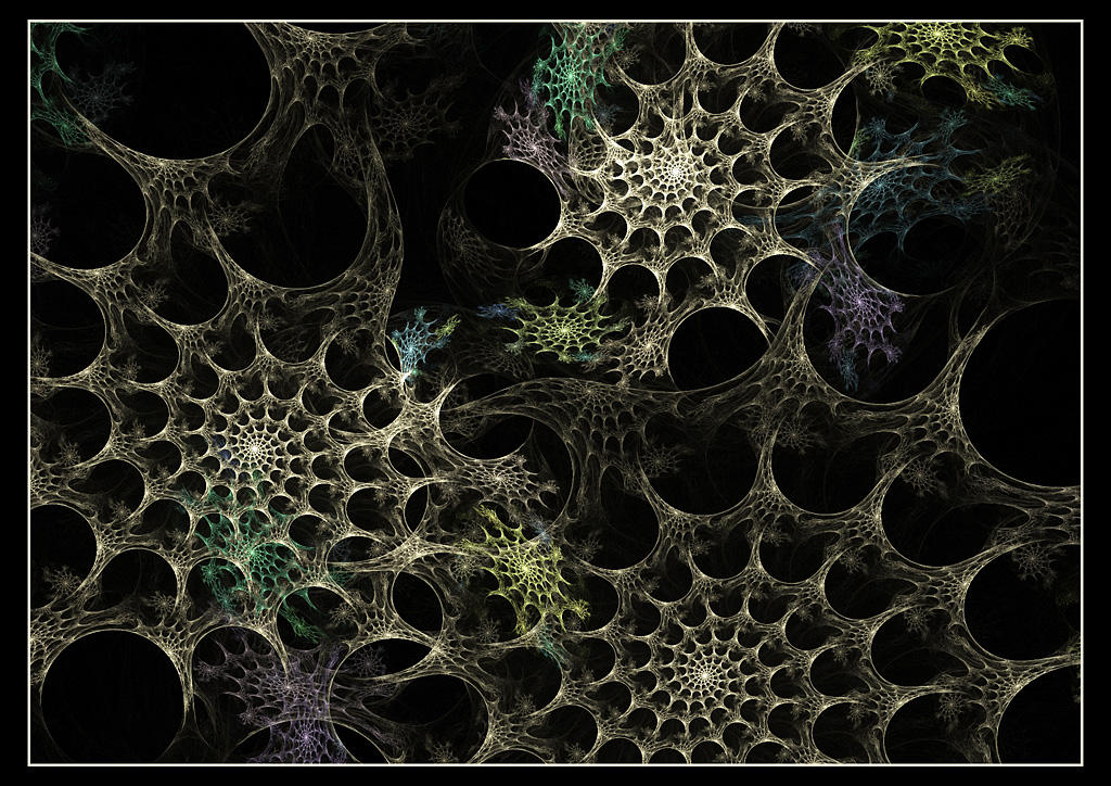 Barnacles by dsa157 on DeviantArt