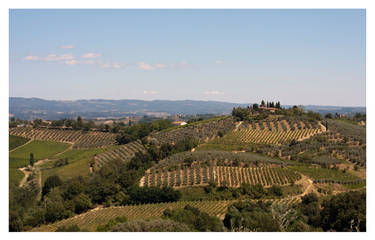 Tuscan landscape