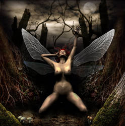 Dark Forest Fairy - Awaking