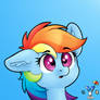 Dashie (another one)