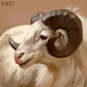 Ram sketch