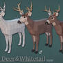 LowPoly Mule/Whitetail Deer