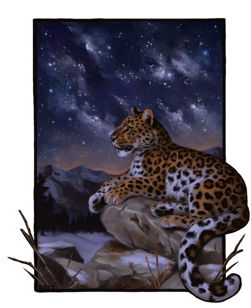 Amur Leopard by AlexPahomov on DeviantArt