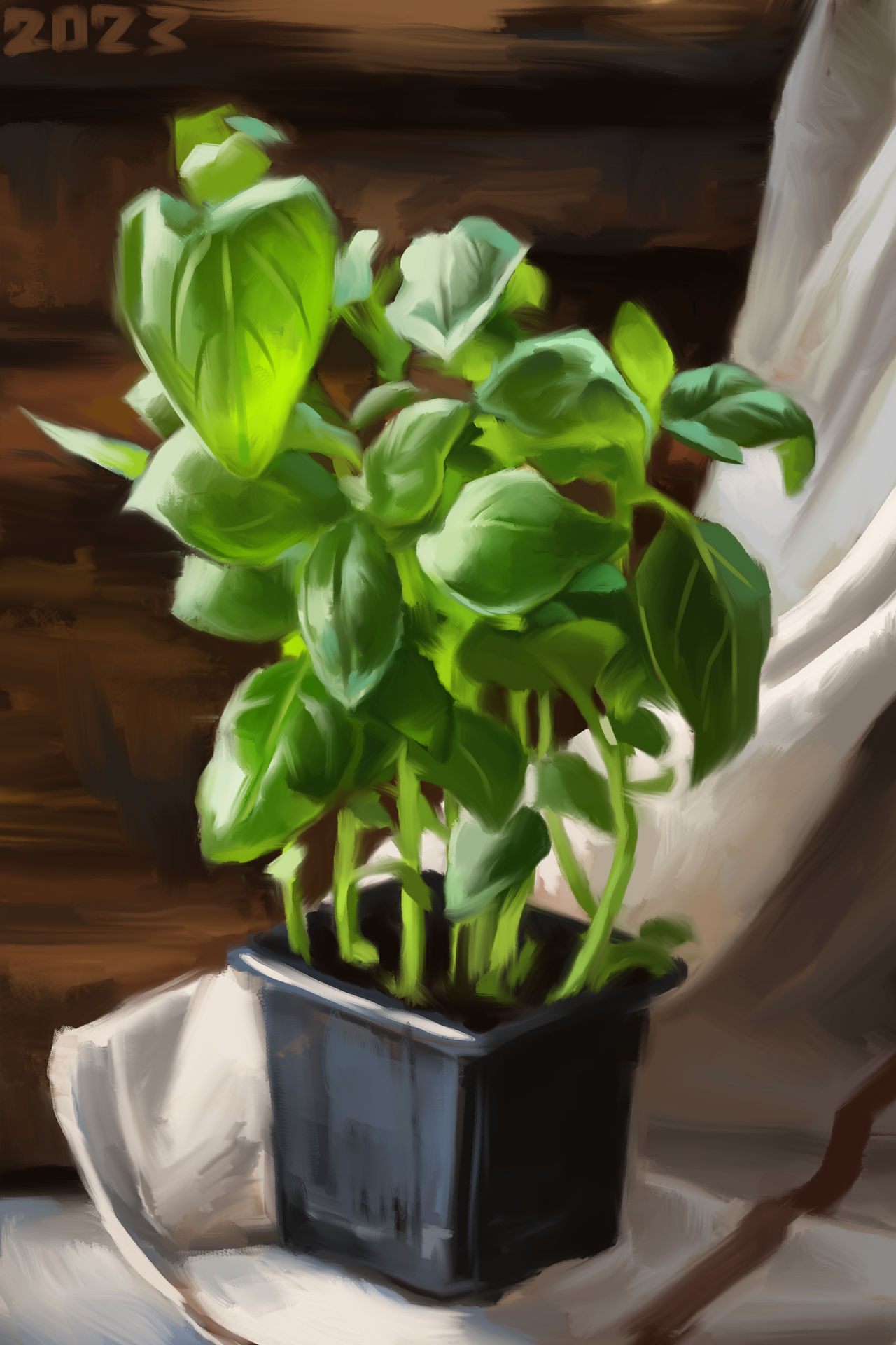 Plant Deviantart Plant study by AlexPahomov on DeviantArt