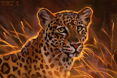 Leopard study by AlexPahomov