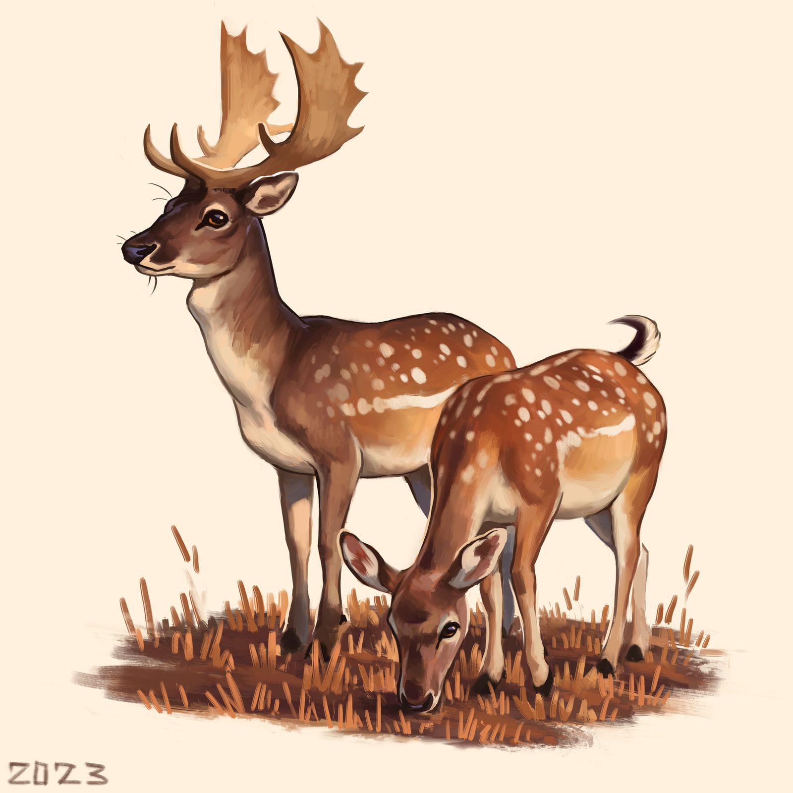European Fallow Deer by AlexPahomov on DeviantArt