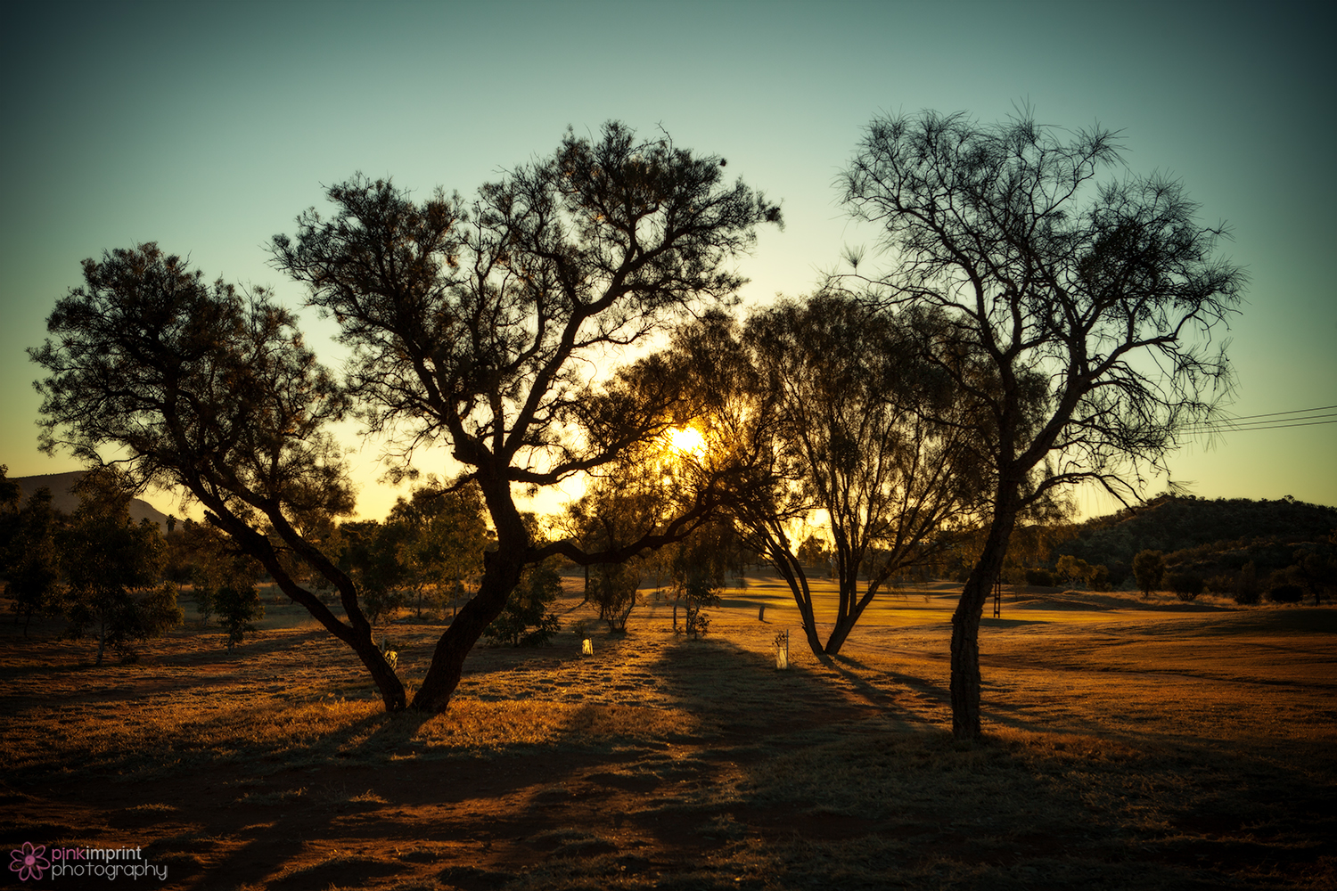 Sunset Though the Trees