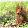 Do I smell spring?