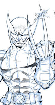 WolverineSketch PV