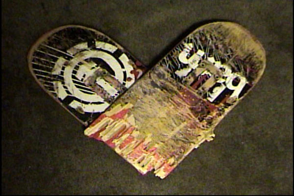 One Love - Element Skateboards
