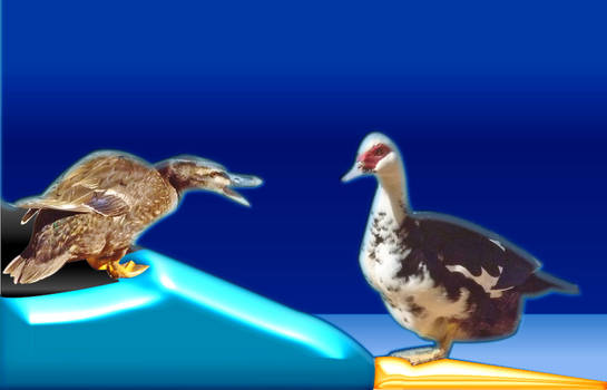 Online Digital Ducks