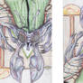 insect love reversible