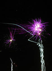 Firework Flower