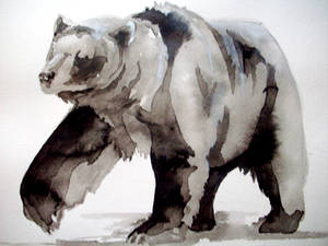 bear