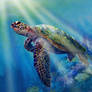 Sea Turtle with Background