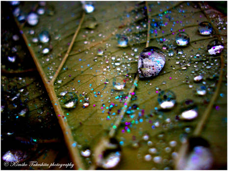 . Water drops II .