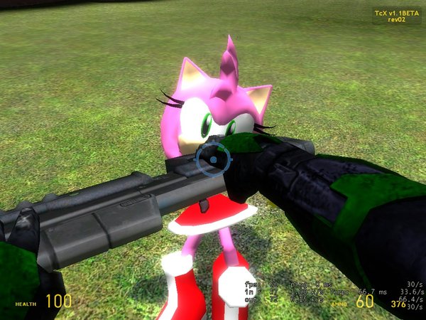 Master chief vs amy rose