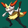 Braixen Cool