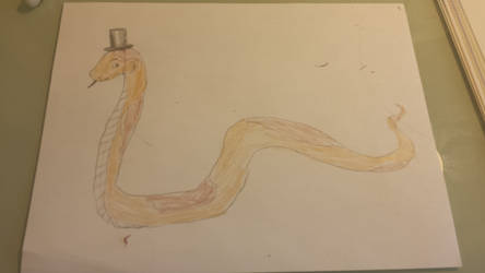 Snake in a Hat