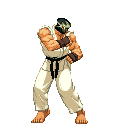 Ryu Gaiden