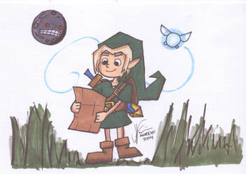 It's Link!