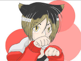 Haikyuu!! : Kenma Neko