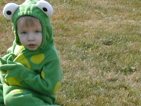 mylilfroggy2