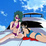 Bulma and Chichi