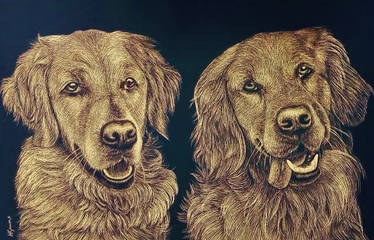 Lottie and Nala - Golden Retriever