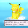 Pikachu Learnt Flash