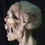 Zombie Man Head01 leftview