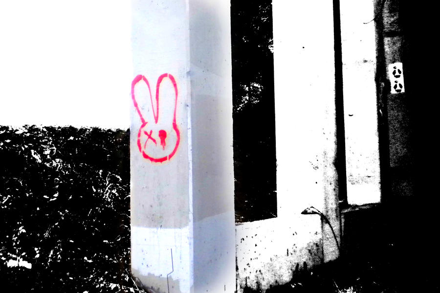 Dead Bunny by scream619 on DeviantArt