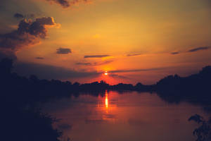 the dusk