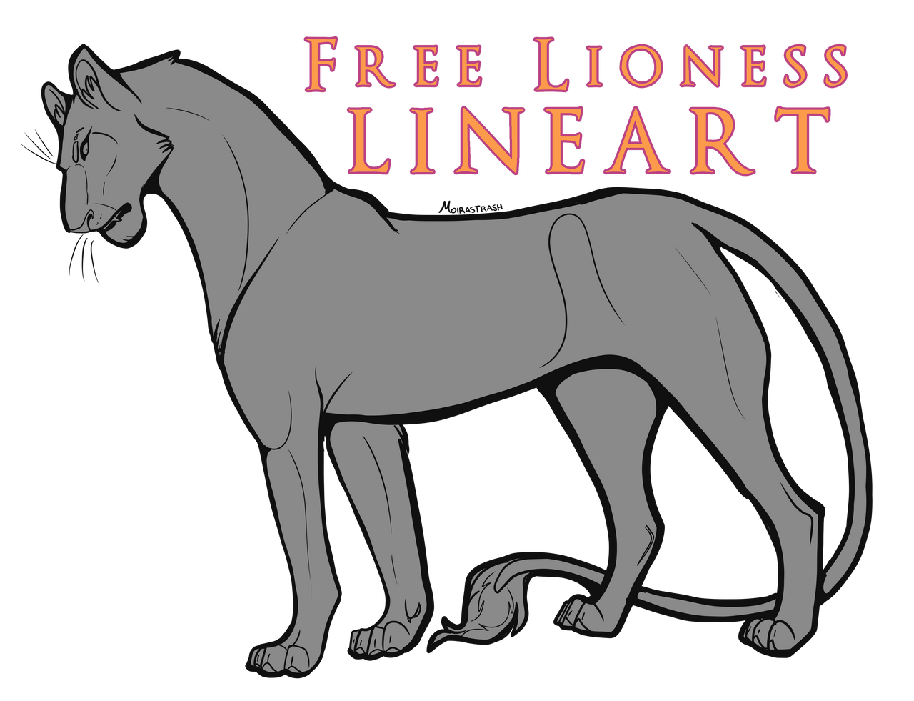 Free Lioness Lines! || by moirastrash on DeviantArt