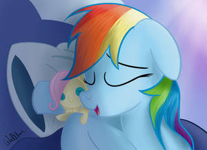 Sleepy Dashie