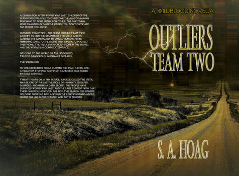 Outliers 40