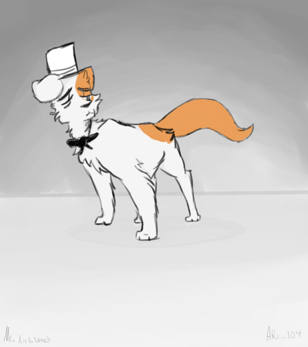 APH: A Cat of a Gentleman