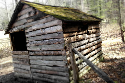 Wooden Shack