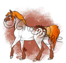 Red roan horse adopt