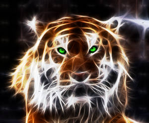 Tigre Fractal / Fractal Tiger