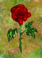 Rose Design