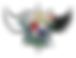 TheHeroChroniclesLogoWatermark