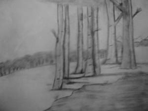 Winter Forest Sketch