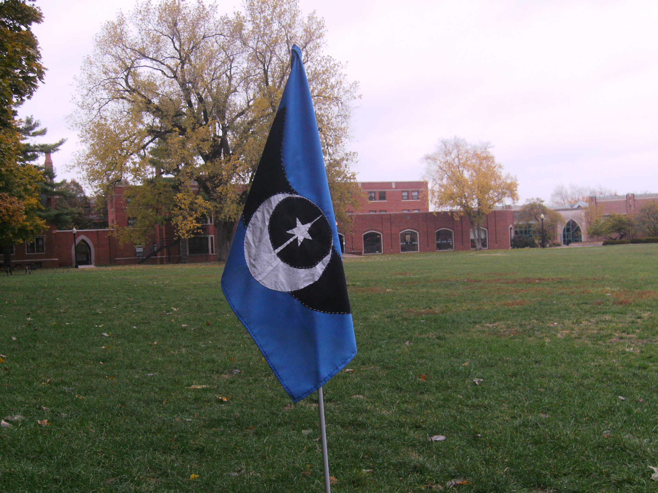 NLR Flag Flying