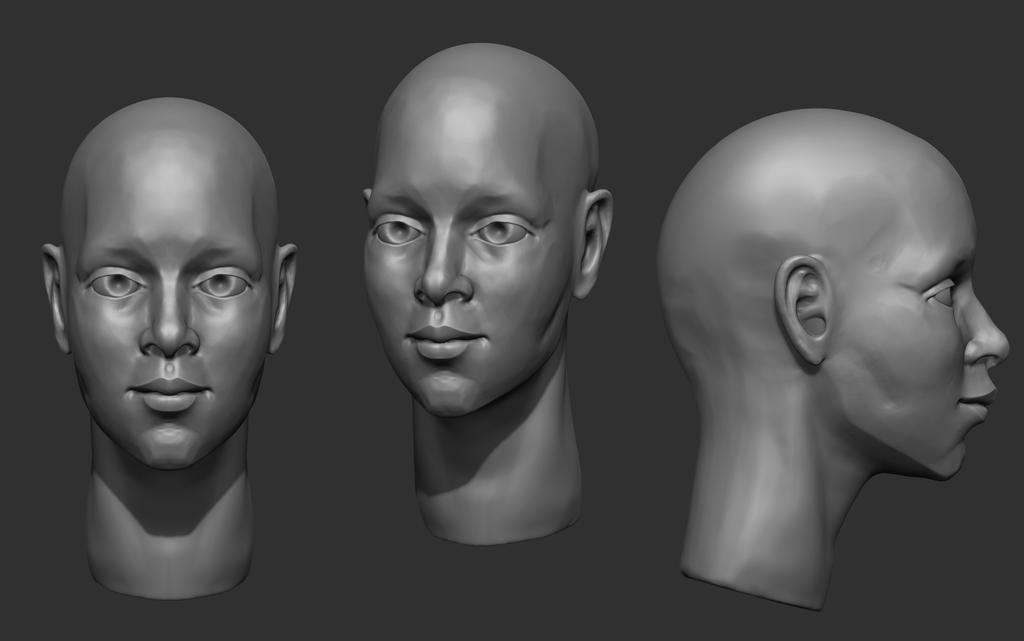 Female Face Study 01 by Cwebowen on DeviantArt