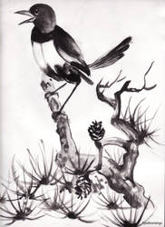 Bird_watercolour_black