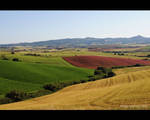 Tuscany by MelissaPhotos